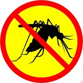 Уничтожение клещей комаров Самаре